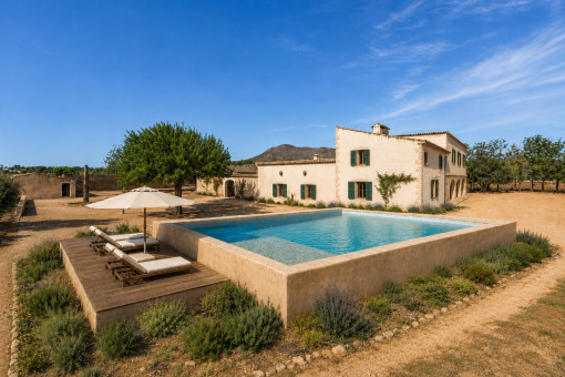Visualisierung – Safreig als Pool mit Sonnenterrasse