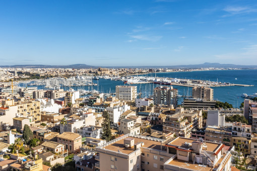 Stadtnah zu Palma und Hafen