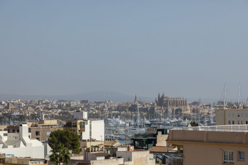 Blick zur Kathedrale in Palma von der Dachterrasse