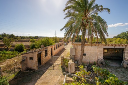 Stadtnahe, authentische Finca zum Renovieren mit alter Mühle in Llucmajor