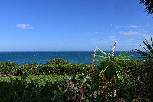 Blick von der Terrasse Rechts