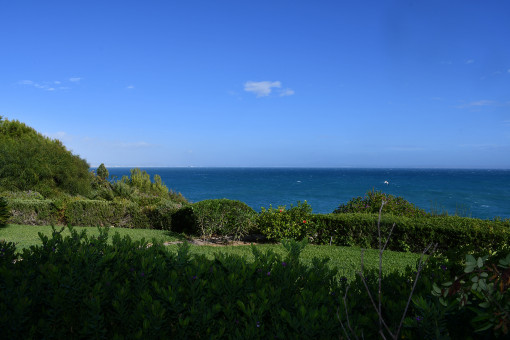 Blick von der Terrasse