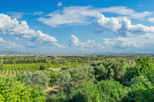 Wunderschöner Landschaftsblick