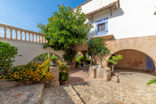 Blick in den Patio
