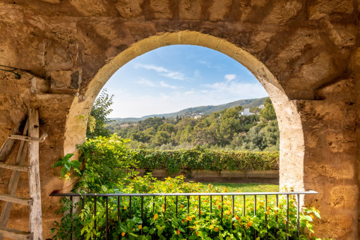 Idyllsicher Blick in den Garten