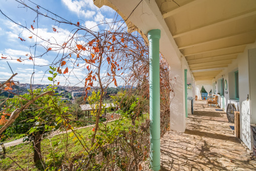 Untere Terrasse und Garten