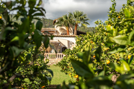 Finca und Garten