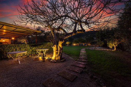 Blick in den Garten bei Nacht