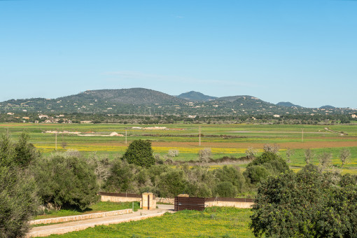 Auffahrt der Finca