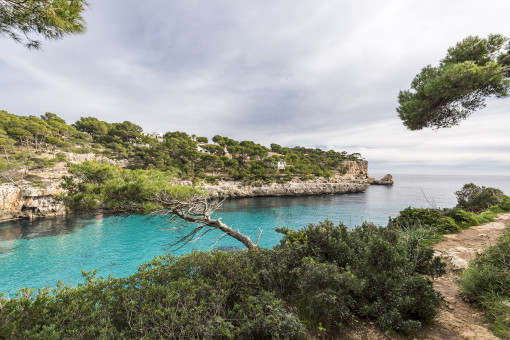 Blick auf das Meer
