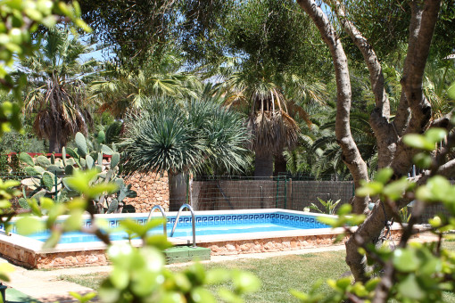 Garten mit Pool