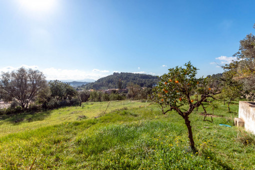 Malerischer Weitblick