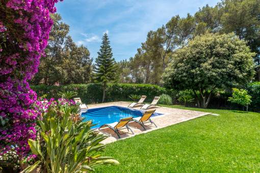 Mediterraner Garten