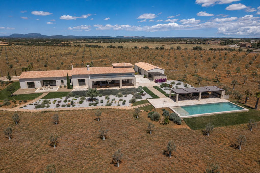 Panorama-Luftaufnahme der Finca mit Olivenhain und mediterraner Gartenlandschaft