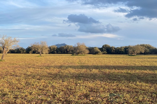 Schönes Fincagrundstück mit Blick auf San Salvador in ruhiger Lage nahe Felanitx