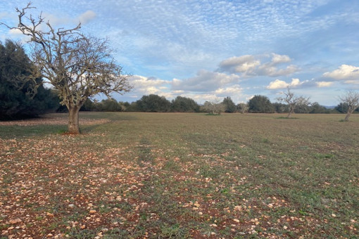 Vista al terreno