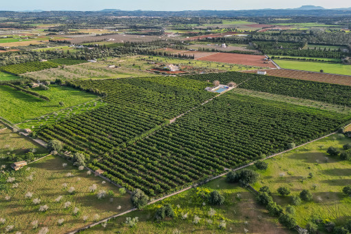 Blick aus der Vogelperspektive