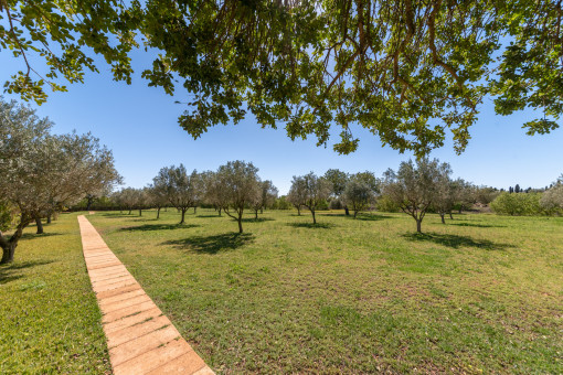 Parkähnlicher Garten