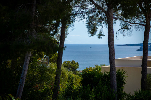 Blick aufs Meer