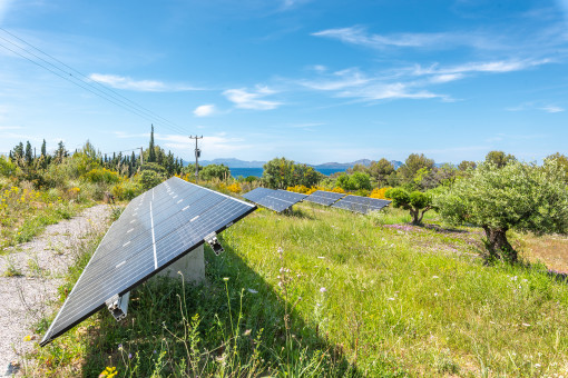 Solarpaneele