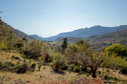 Herrlicher Landschaftsblick