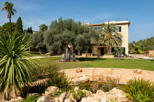 Schön angelegter, mediterraner Garten