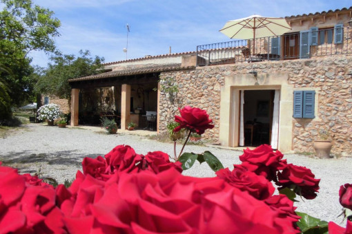 Gepflegter Garten - Blick auf die Finca