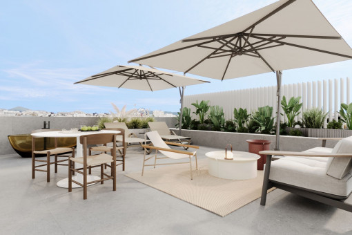 Großzügige Dachterrasse