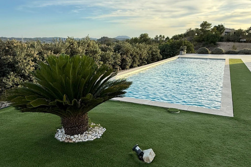 Poolbereich mit Rasenfläche