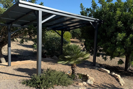 sineu-finca-mieten 08