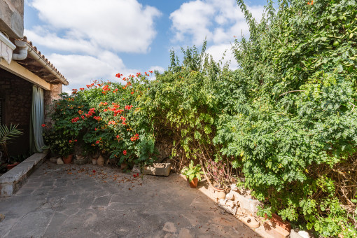 Angrenzende Terrasse im Außenbereich