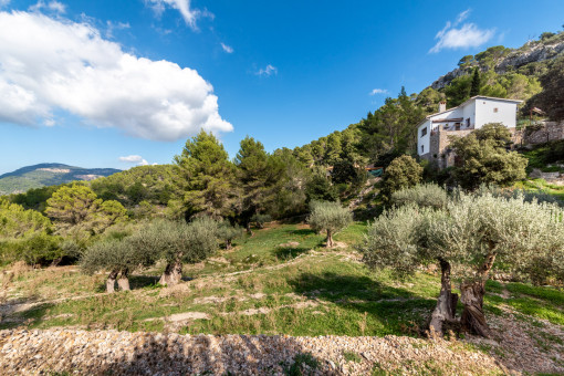 Finca in Puigpunyent mit Panoramablick, großem Grundstück und viel Privatsphäre