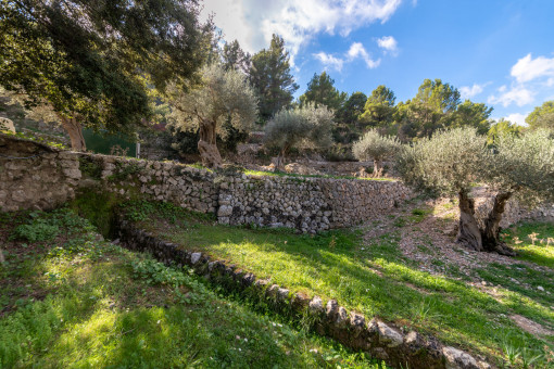 Mallorquinischer Garten