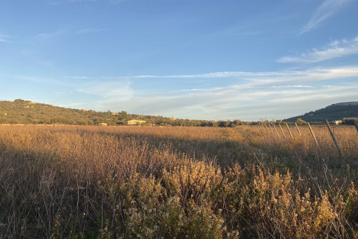 Einzigartiges Fincagrundstück mit genehmigten Bauprojekt und herrlichen Panoramablick auf die Berge nahe Cas Concos