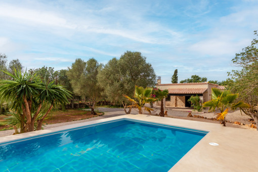 Pool mit Gartenblick