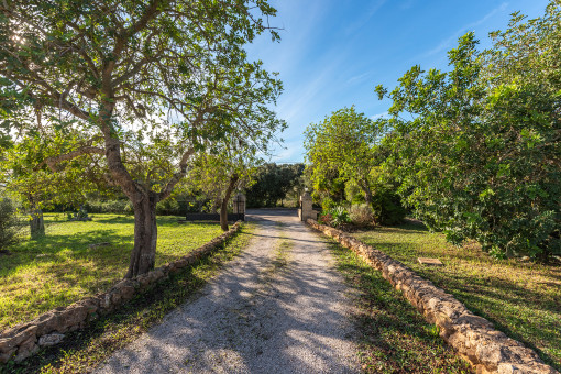 Zufahrt führt zur Finca