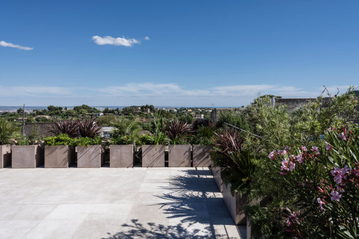 Dachterrasse mit Panorama-Blick