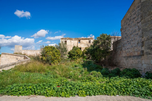 Investitionsgelegenheit: Baugrundstück nahe des Tramuntanagebirges in Santa Margalida