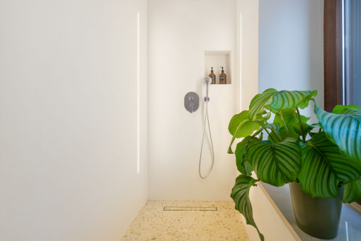 Modernes Duschbadezimmer