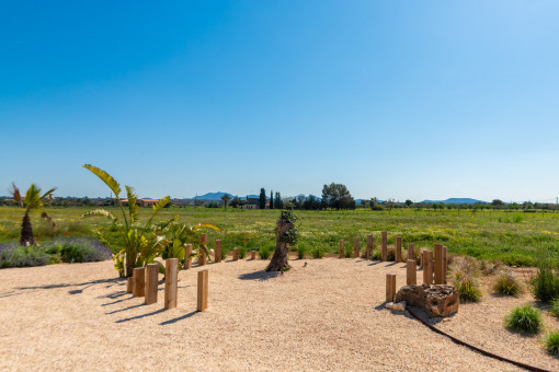 Liebevoll angelegter Garten