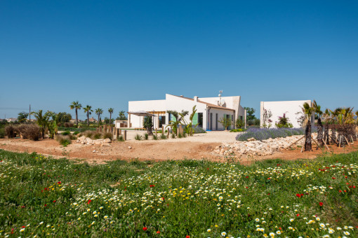 Neubaufinca mit Blick auf Campos