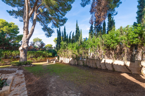 Gepflegter Garten mit viel Grün und Ruhe