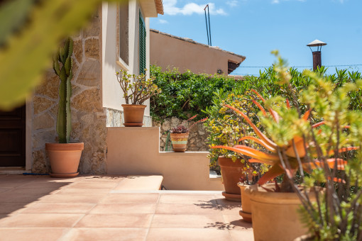 Terrasse