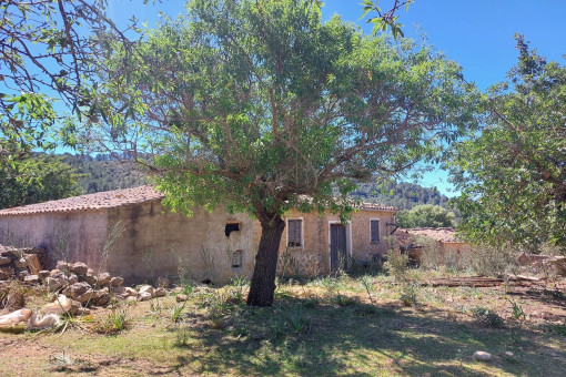 Finca-Projekt in traumhafter Hügellandschaft mit Bergblick bei Alaró