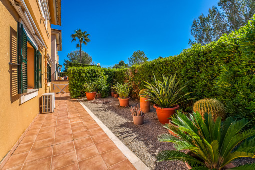 Terrasse