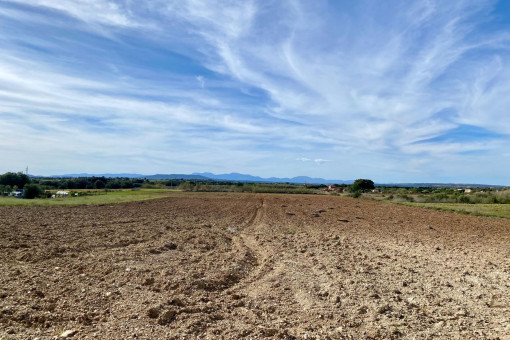 Baugrundstück eingebettet in die idyllische Ruhe der mallorquinischen Landschaft Son Macia