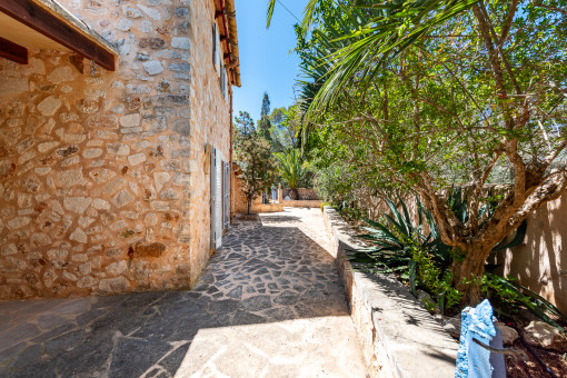 Mallorquinisches Landleben