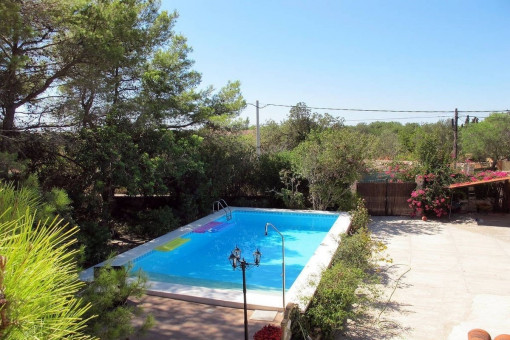 Pool im Garten