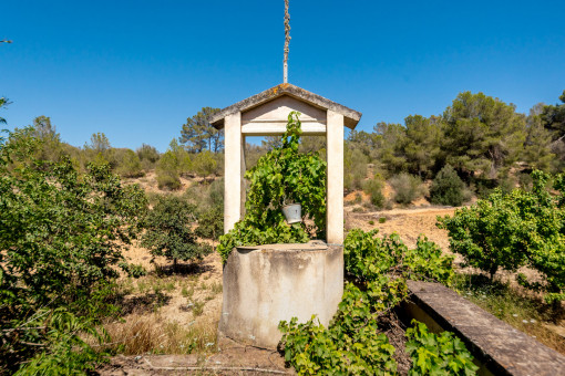 Brunnen