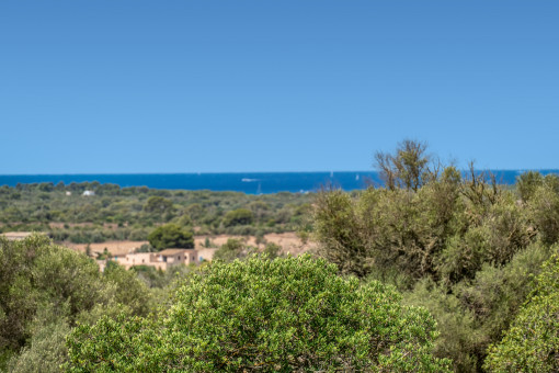 Weitblick bis zum Meer